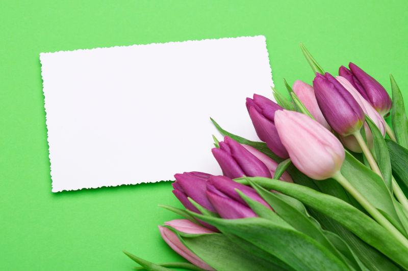 绿色背景中的紫色郁金香和卡片