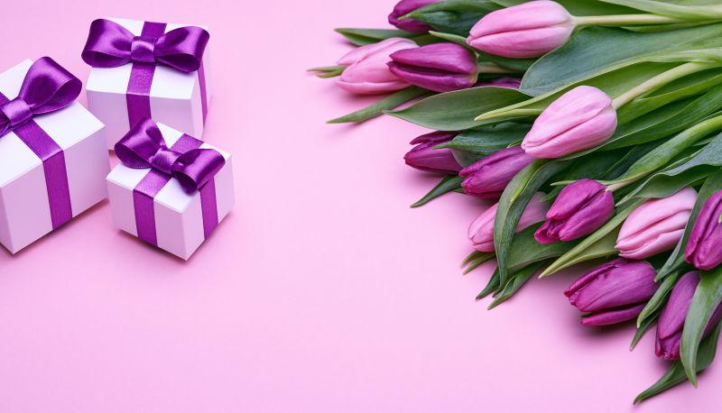 粉色背景中的郁金香和礼品盒