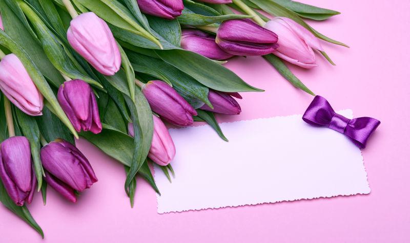 粉色背景中的白色卡片和鲜花