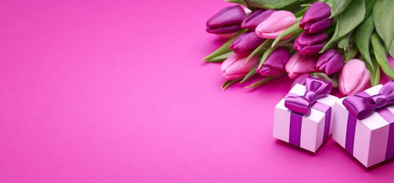粉色背景中的郁金香和礼物盒