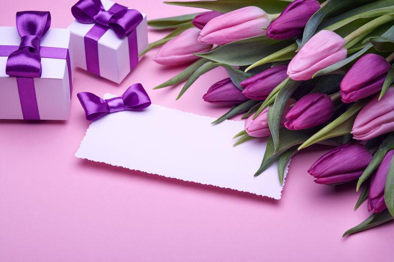 粉色背景的紫色郁金香卡片和礼物盒