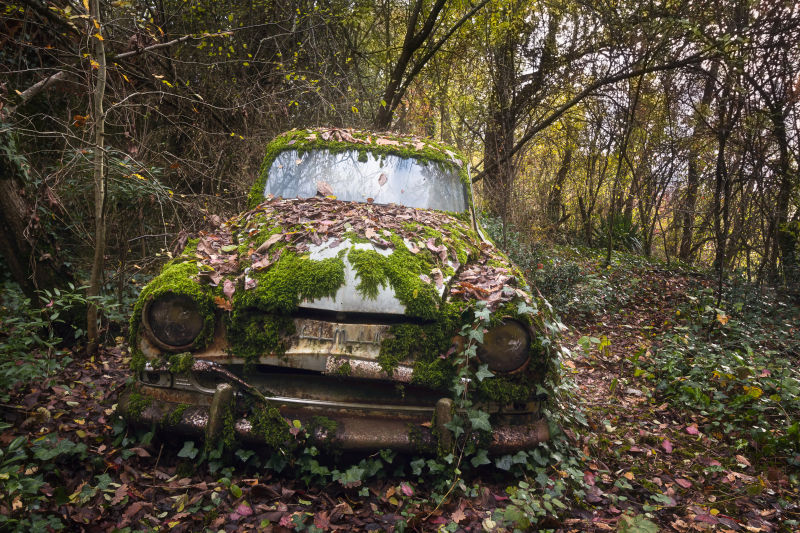 森林里废弃的汽车