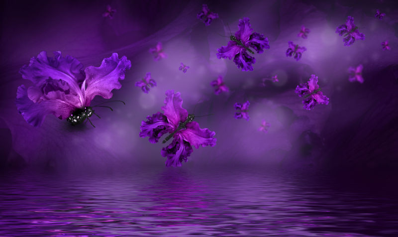 紫色水波背景上拥有紫色花朵翅膀的蝴蝶
