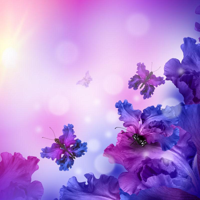 漂亮的紫色蝴蝶花图片素材 紫色花背景图案素材 Jpg图片格式 Mac天空素材下载