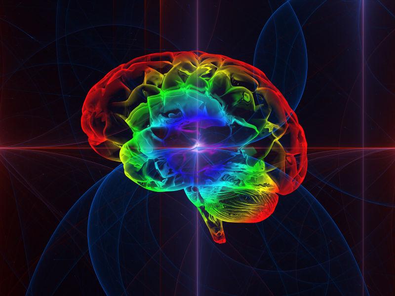 三维人体头部脑神经概念