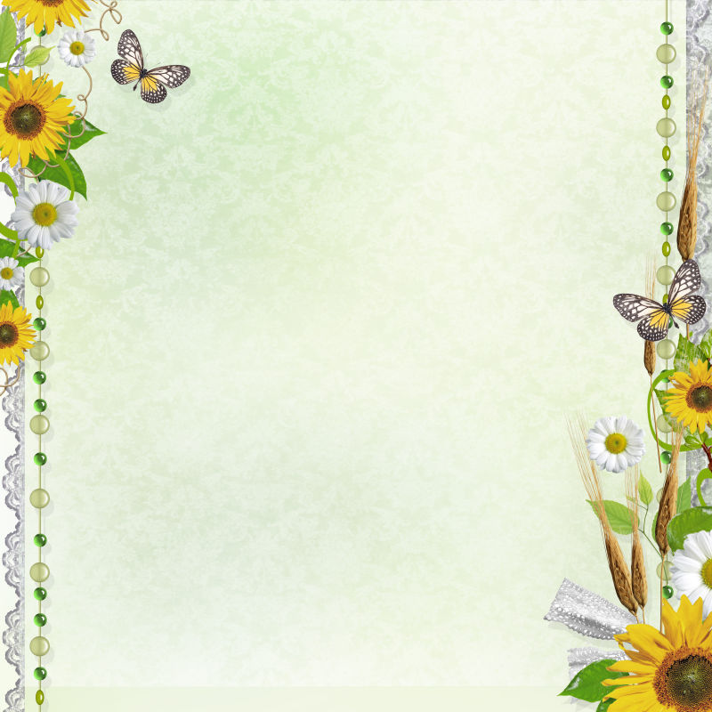 蝴蝶太阳花设计的框架