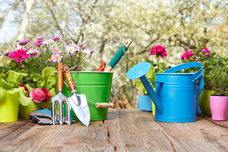 木桌上的鲜花盆栽和各种园艺工具