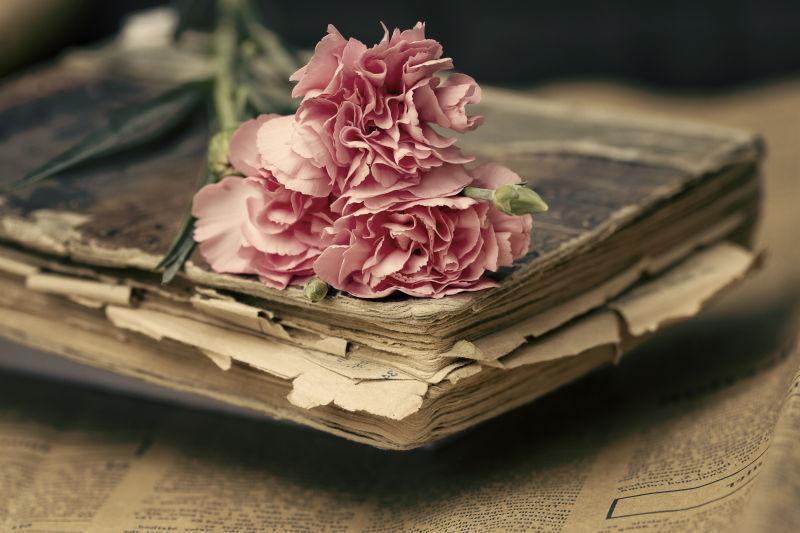 老旧木桌上旧书本上的一朵粉色康乃馨