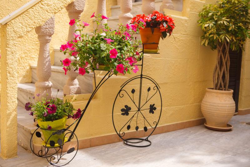 老式自行车造型的观赏花卉盆栽
