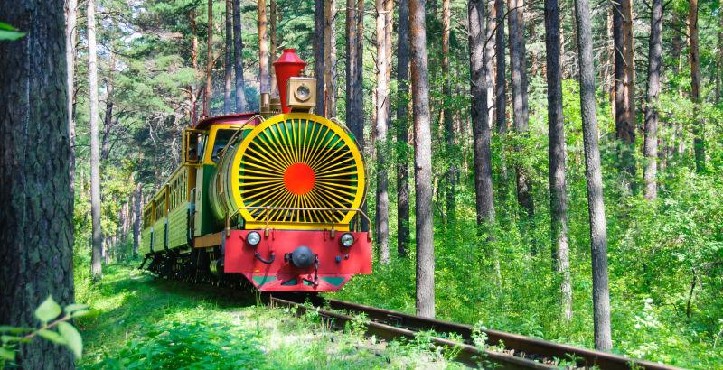 夏日森林里的火车
