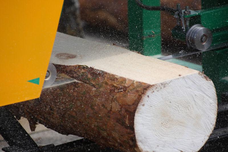 锯木厂里正在切割的松木木材