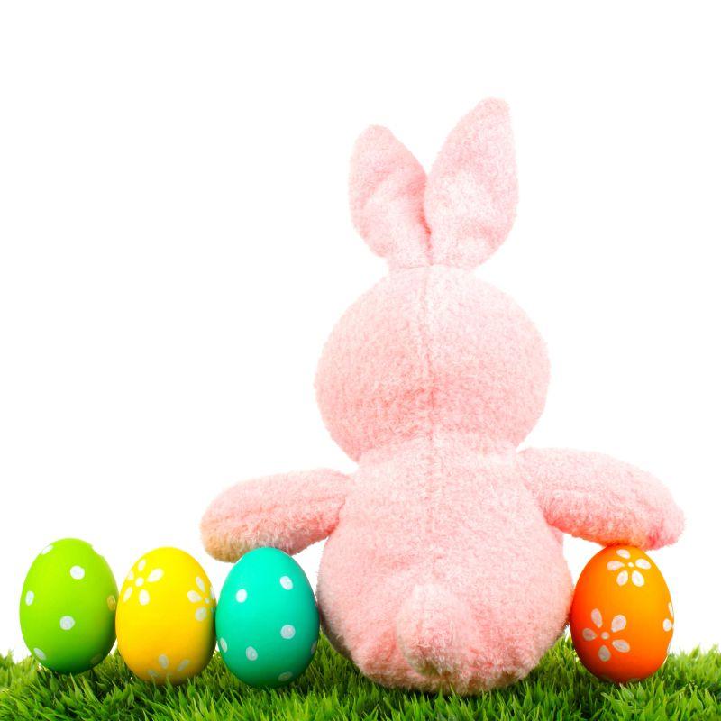 白色背景下草地上的复活节彩蛋和粉色毛绒玩具兔子