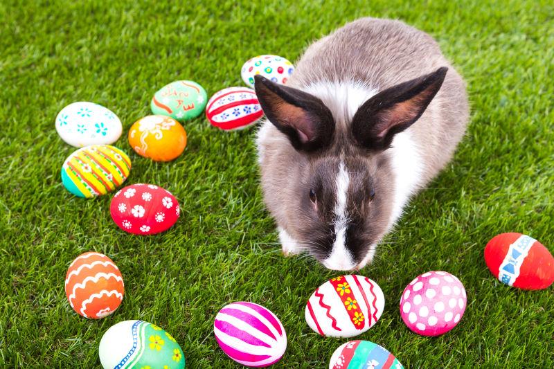 草地上的兔子和复活节彩蛋