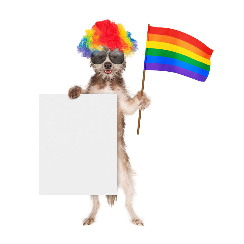 支持同性恋权利的滑稽狗