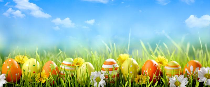 阳光下草地里整齐排列的复活节彩蛋