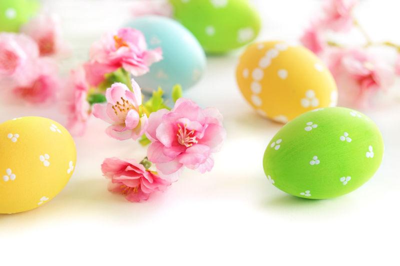 白色背景上的复活节彩蛋和一些粉色花朵