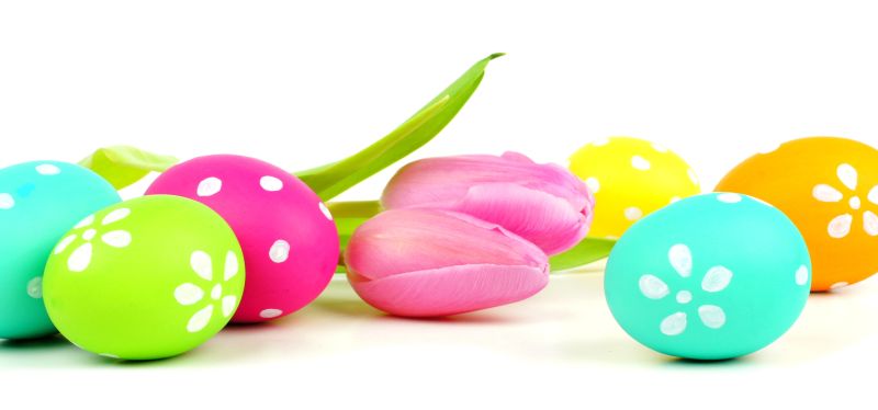 复活节彩蛋与粉色郁金香