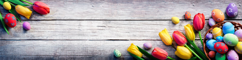 老式木板上的复活节彩蛋与郁金香