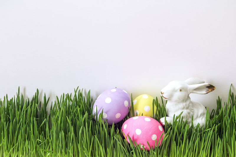 青草上的复活节彩蛋与玩具兔
