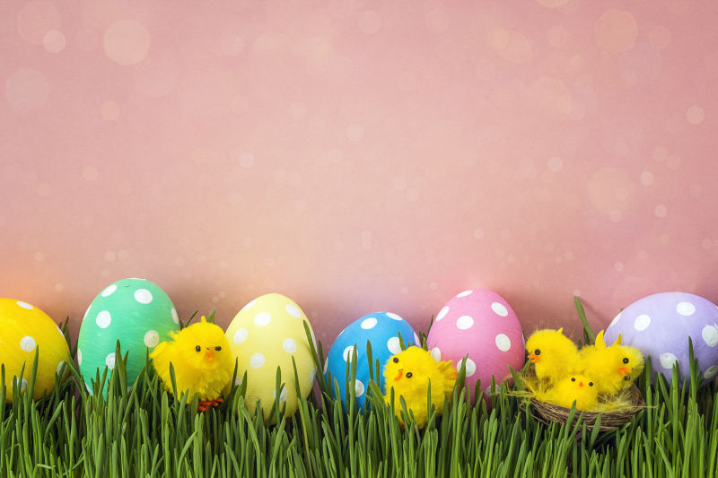 草坪上的复活节彩蛋与小鸡仔装饰玩具