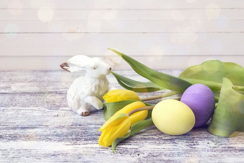 复活节彩蛋玩具兔子与郁金香花朵