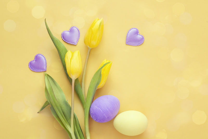 黄色背景中的黄色郁金香与复活节彩蛋