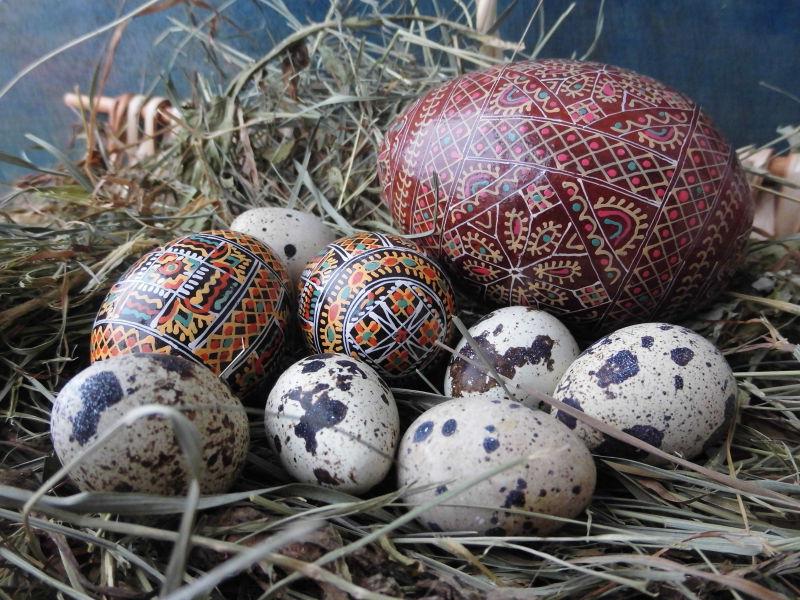 草窝里的复活节彩蛋和鹌鹑蛋