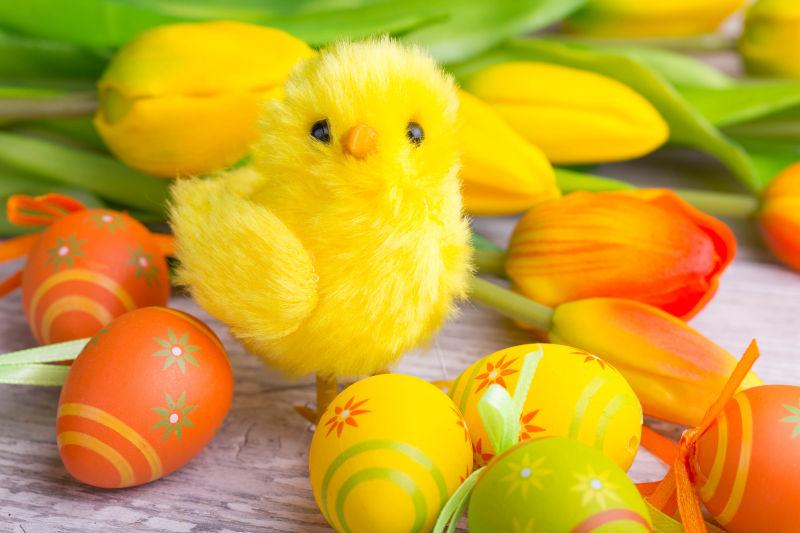 木纹理桌上的复活节鹌鹑蛋和黄色小鸡还有郁金香花朵