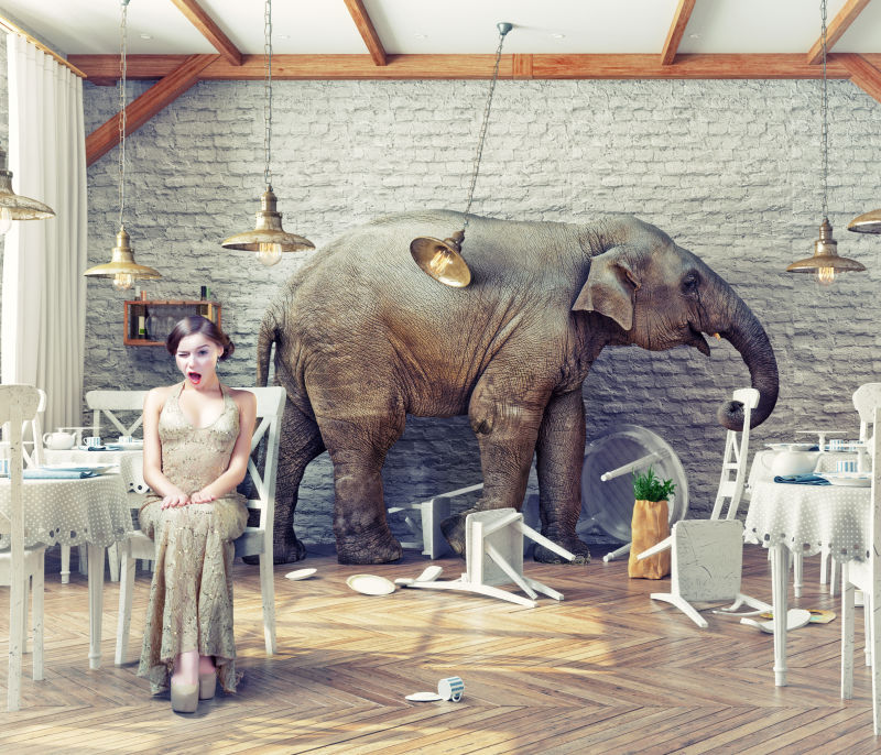 餐厅中的大象与美女