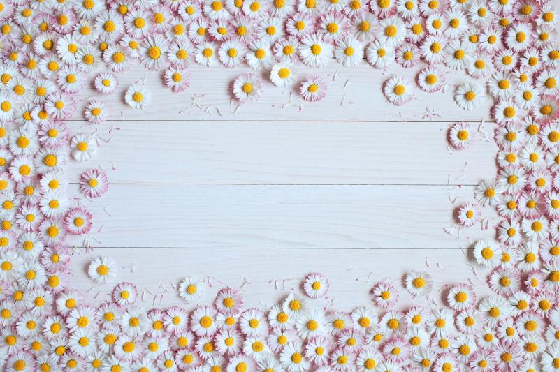 木板上的美丽的雏菊花
