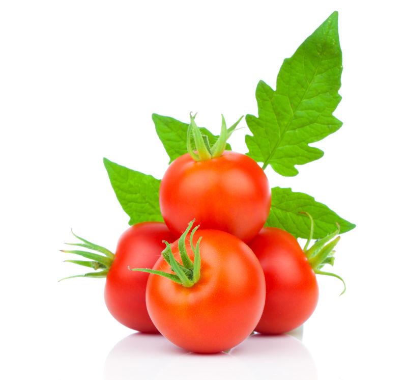 白色背景下的带绿叶的新鲜西红柿