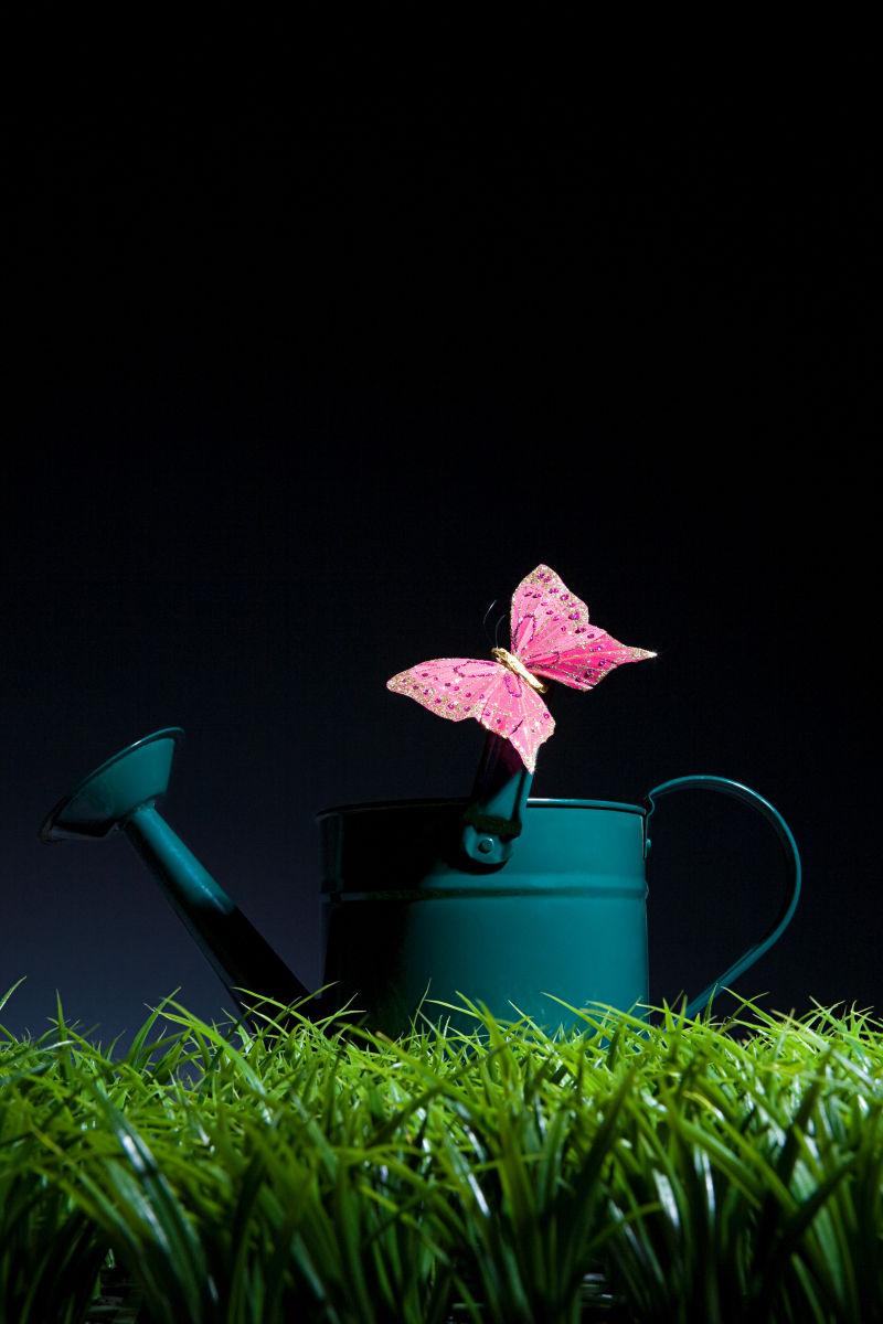 草地上的喷壶上停着一只美丽的蝴蝶