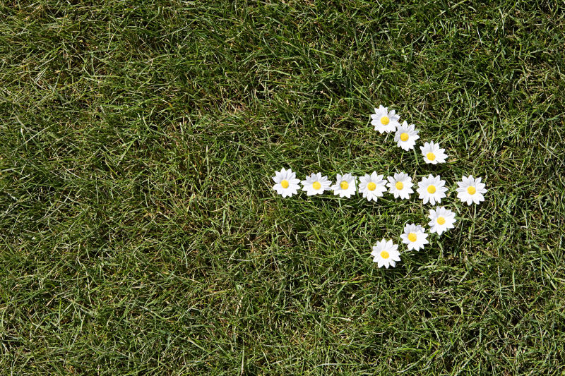 草地上的小花箭头