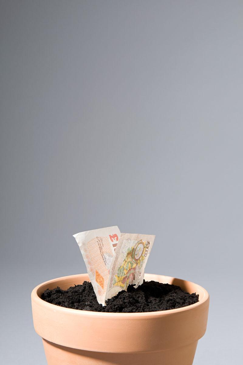 花盆里的泥土上放着一张纸钞