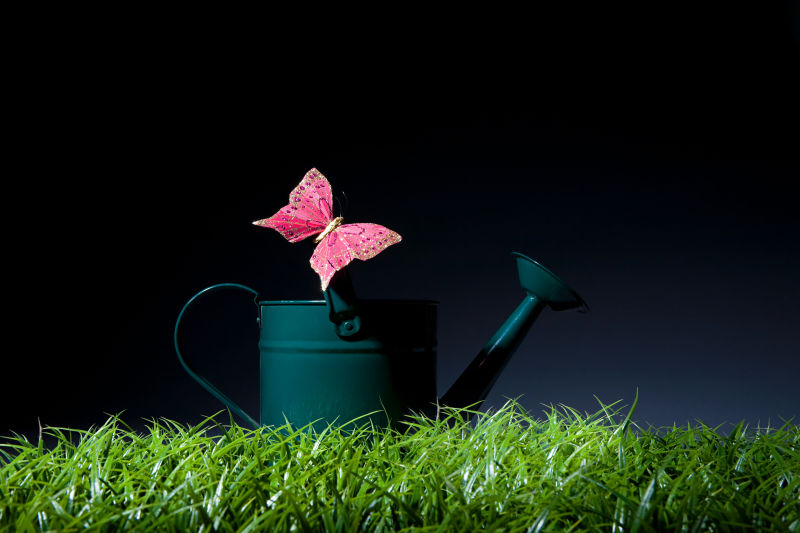 草地上的水壶上停着一只蝴蝶