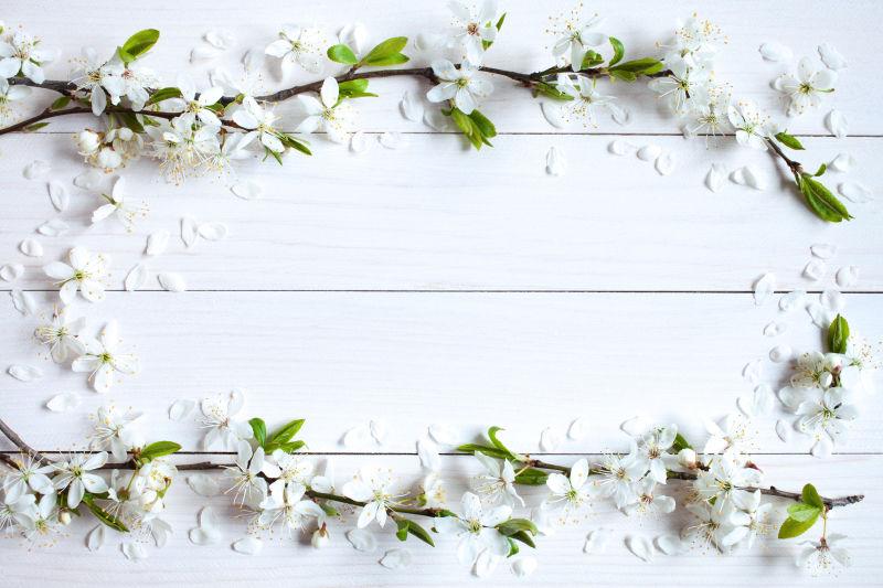 木板上李子树樱桃树的花