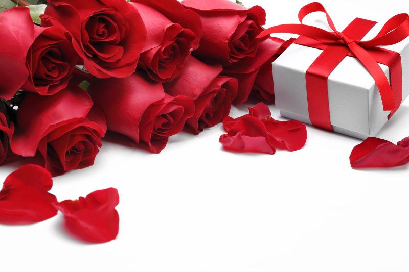 白色背景中的红玫瑰和礼物