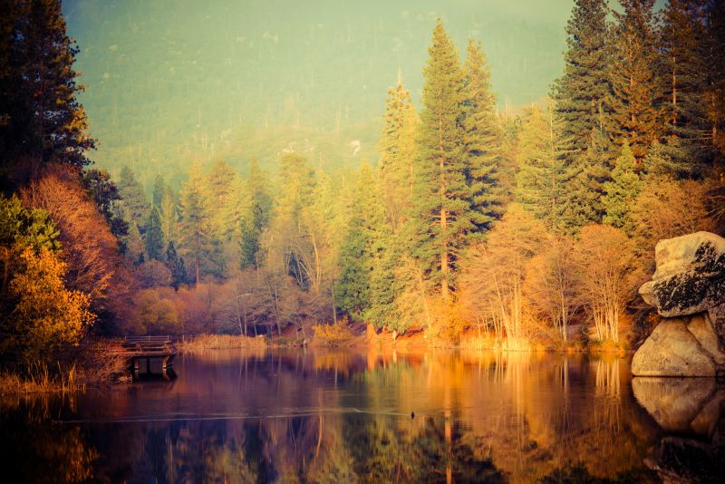 秋季中树林与湖面