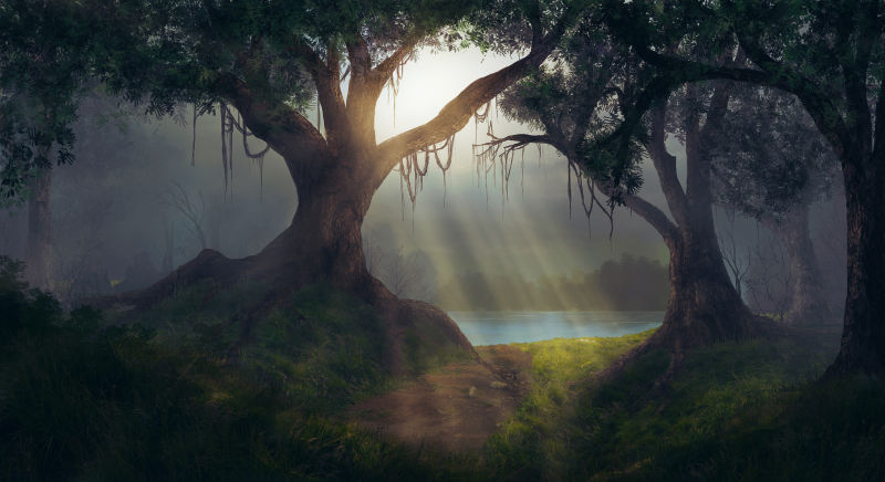 阳光透过古老的树