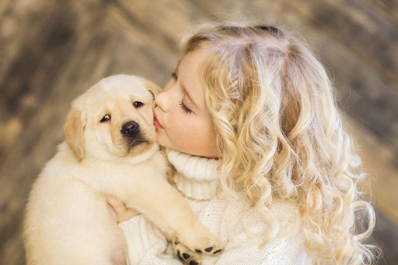 木纹理背景下抱着拉布拉多小狗亲吻的金发小女孩