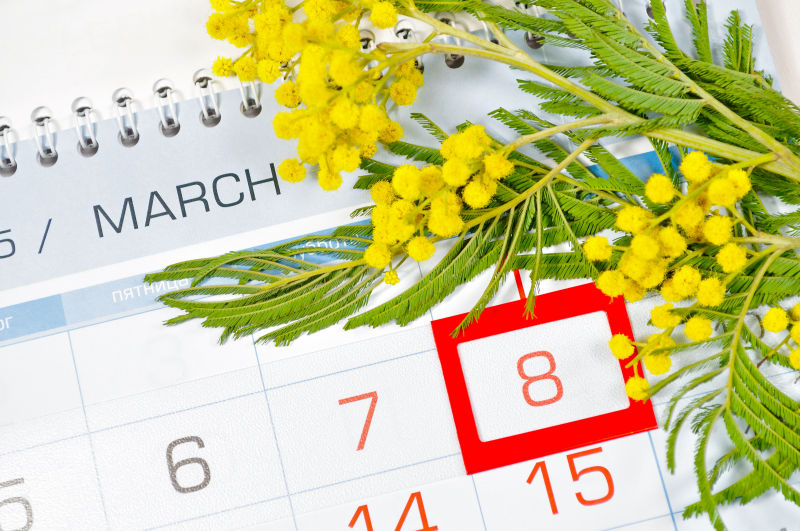 日历上含羞草花与3月8日日期框架