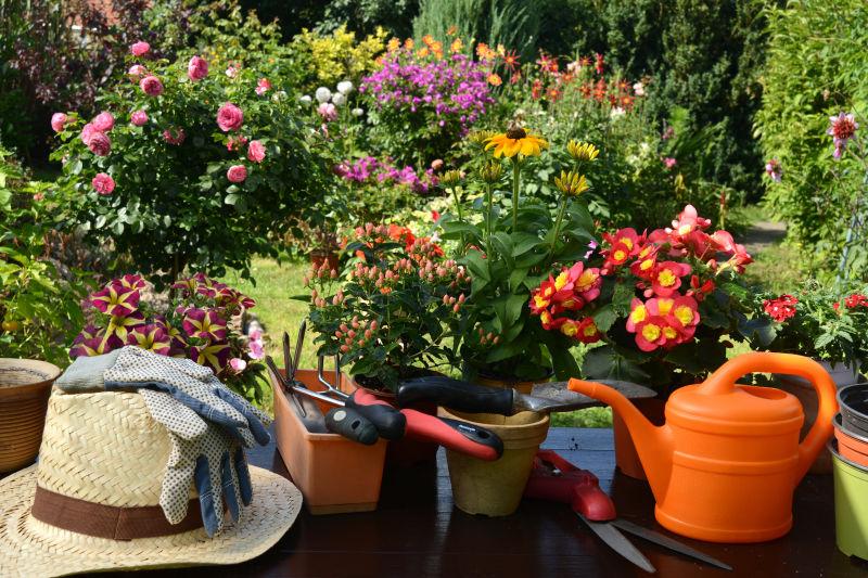 花园里各种鲜花盆栽和园艺工具