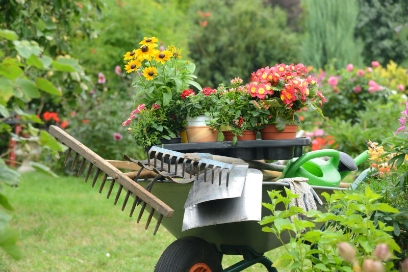 花园里的手推车上放着各种园艺工具和鲜花盆栽