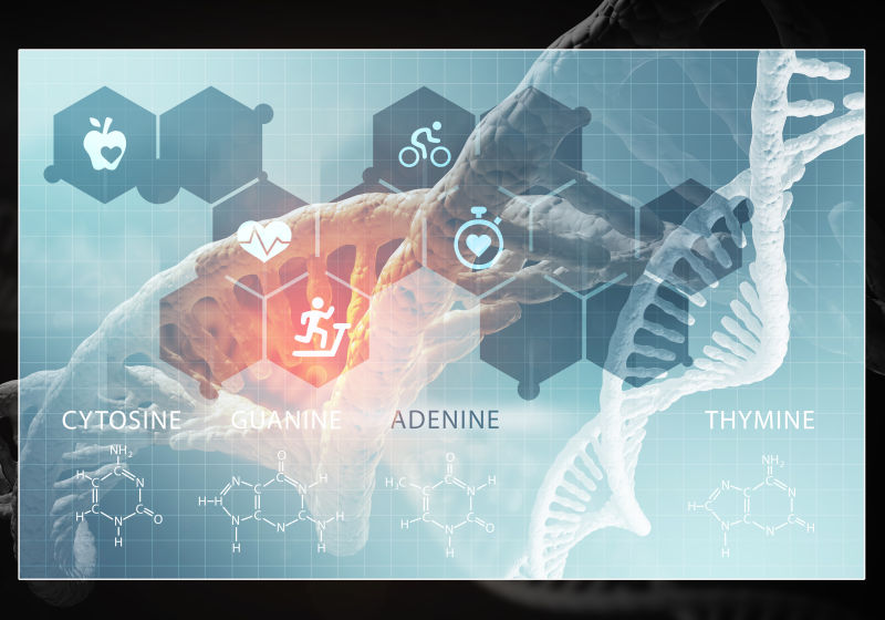 3D渲染的DNA概念图像