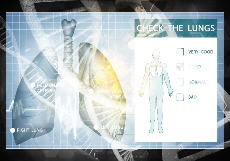 三维绘制DNA研究的概念中的肺
