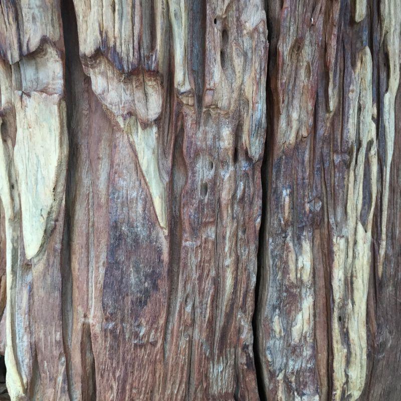 天然木旧木纹理