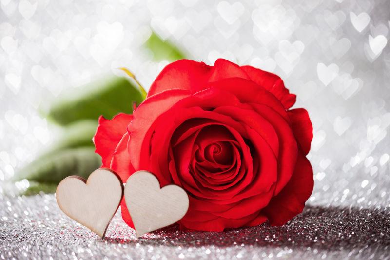 银色背景的心形和红玫瑰