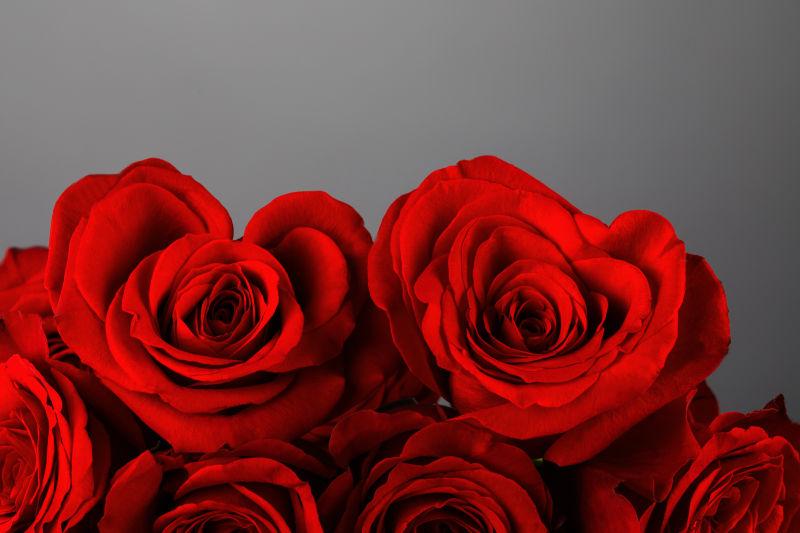 灰色背景中的心形红玫瑰
