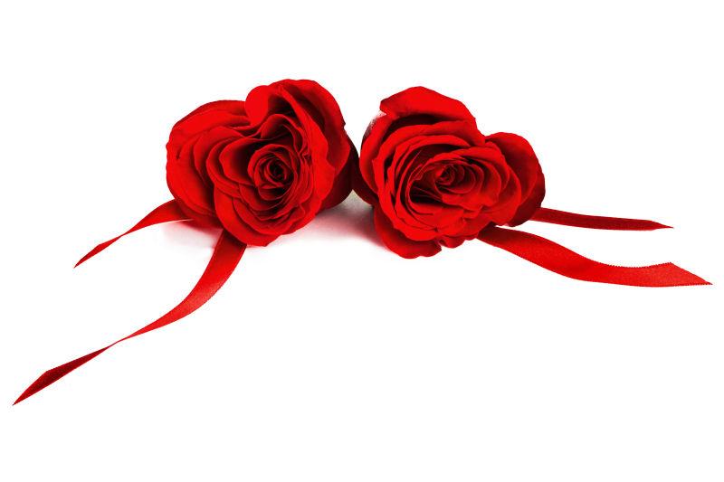 白色背景中两朵带丝绸的心形红玫瑰