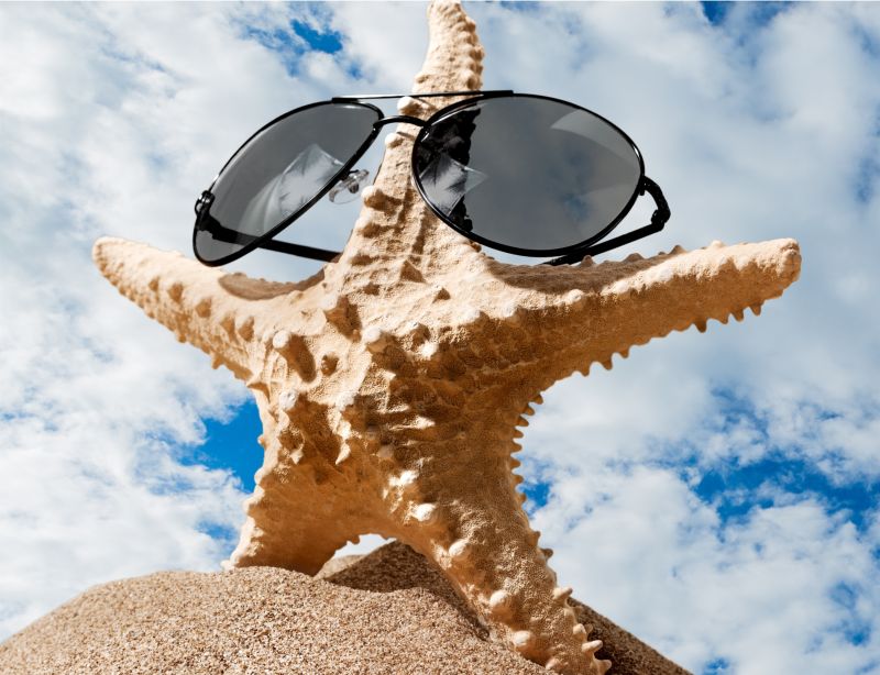 蓝天下夏日沙滩海星戴着墨镜